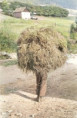 /album/c-b-fotky/1000000124-jpg/
